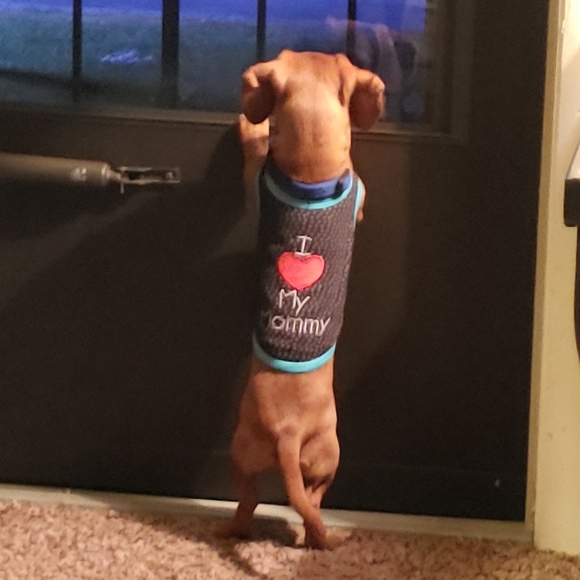 Meet your Posher, Tabatha - Picture 10 of 10